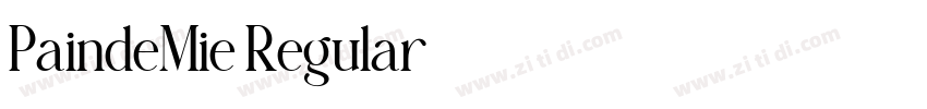 PaindeMie Regular字体转换